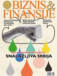 Biznis & Finansije - broj 228-229, 24. dec 2024.