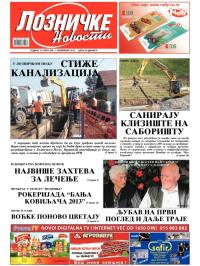 Lozničke novosti - broj 294, 1. nov 2013.