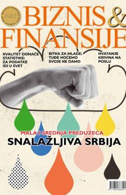 Biznis & Finansije - broj 228-229, 24. dec 2024.