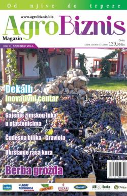 Agro Biznis - broj 31, 1. sep 2013.